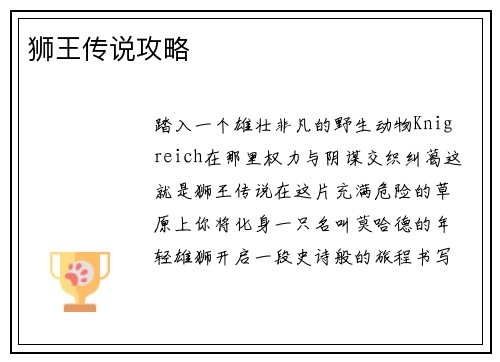 狮王传说攻略